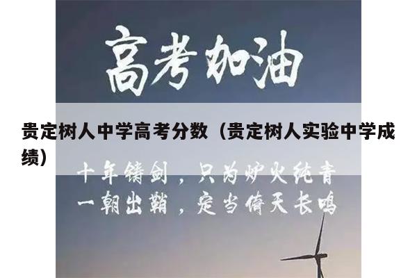 贵定树人中学高考分数(贵定树人实验中学成绩)